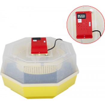 Electric Incubator.
